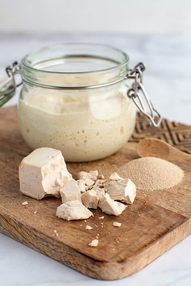 Using fresh or dried yeast